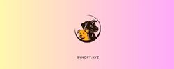 synopy.xyz